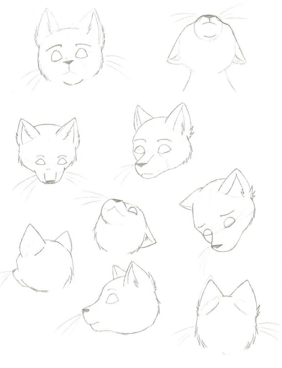 900x1175 Random Cat Head Sketches By Kina Rain