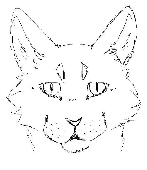 Cat Head Drawing at GetDrawings | Free download