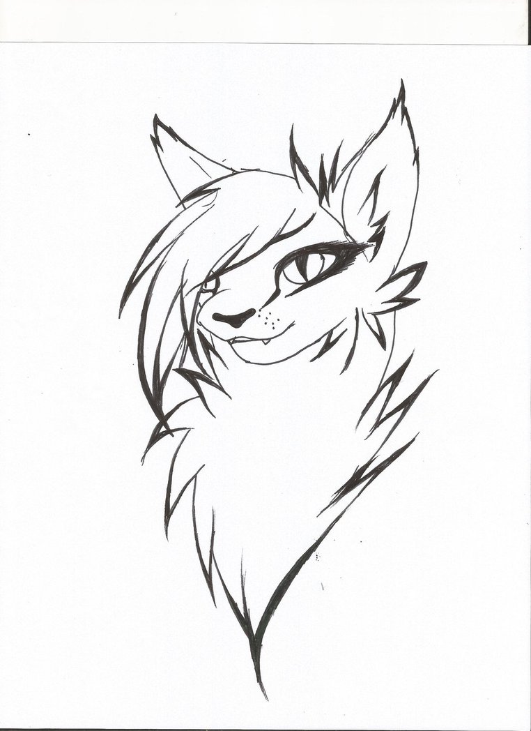 762x1048 Cat Head Lineart By Rokasendo