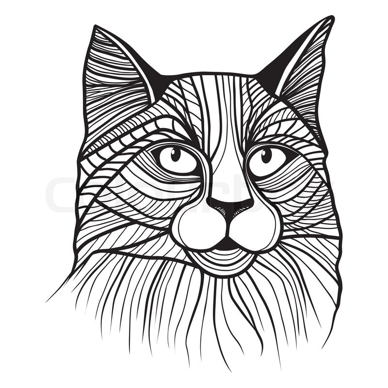 800x800 Cat Head Vector Animal Illustration For T Shirt. Sketch Tattoo