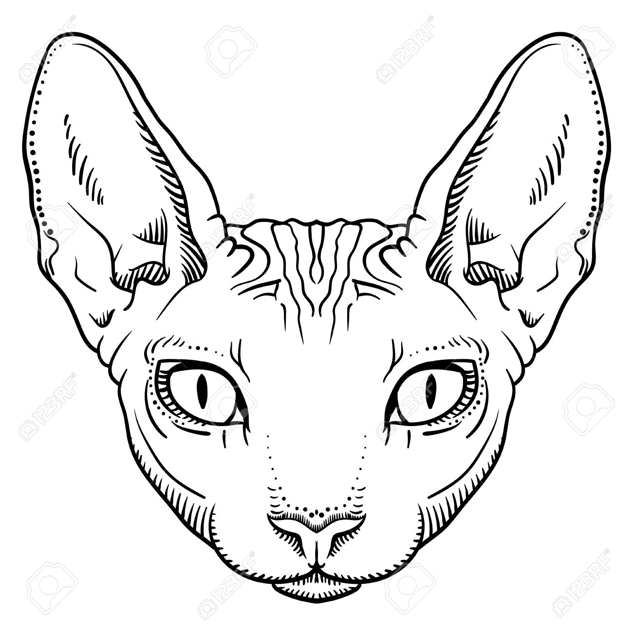 1300x1300 Cat Head Outline