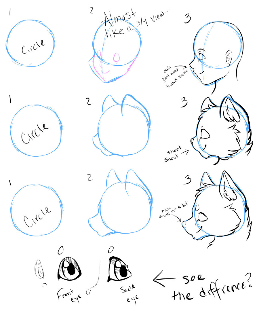 Cat Head Drawing Tutorial at GetDrawings | Free download