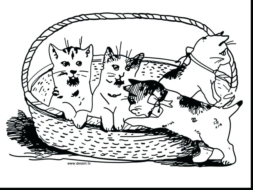 863x647 Cute Little Kittens Coloring Pages Extraordinary Kitten In Line