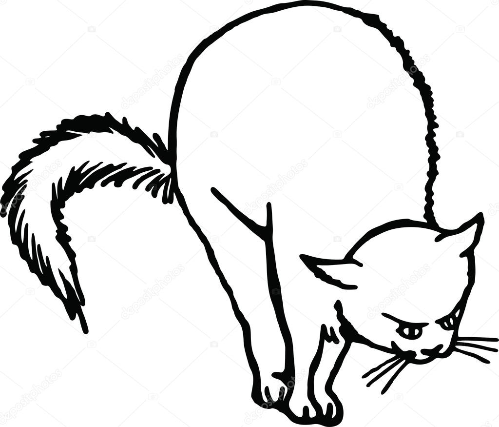 1024x875 Drawing Of A Scared Cat Stock Vector Prawny