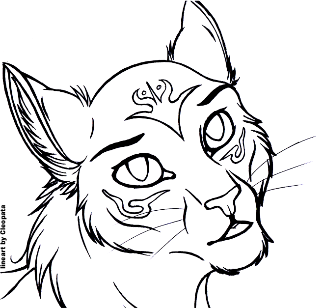 660x627 Free Cat Headshot Lineart By Cleopata