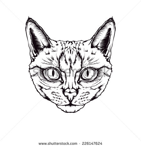450x470 Gallery Cat Head Line Drawing,