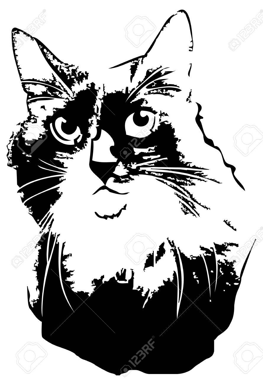 889x1300 Black Cat's Head Close Up. Computer Imitation Of A Hand Drawn