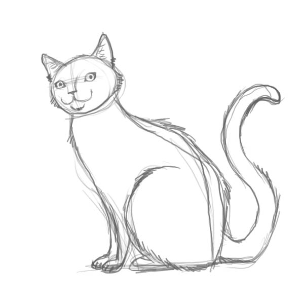 600x600 How To Draw A Cat