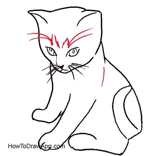 600x600 How To Draw A Cat Sitting Down Step By Step