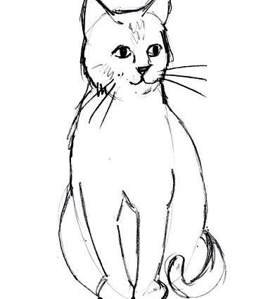 371x425 Easy Cat Drawing Best 25 Easy Cat Drawing Ideas On Easy
