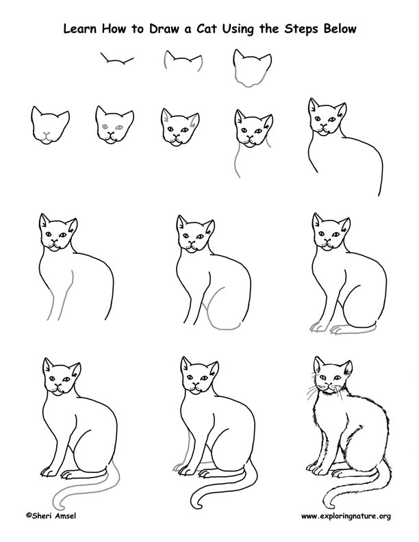 612x792 Cat Drawing Lesson