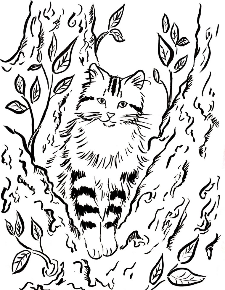 760x981 Cat In A Tree Coloring Page