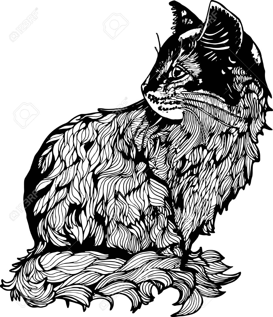 1118x1300 An Illustration Of A Cat In Profile. Black And White Drawing