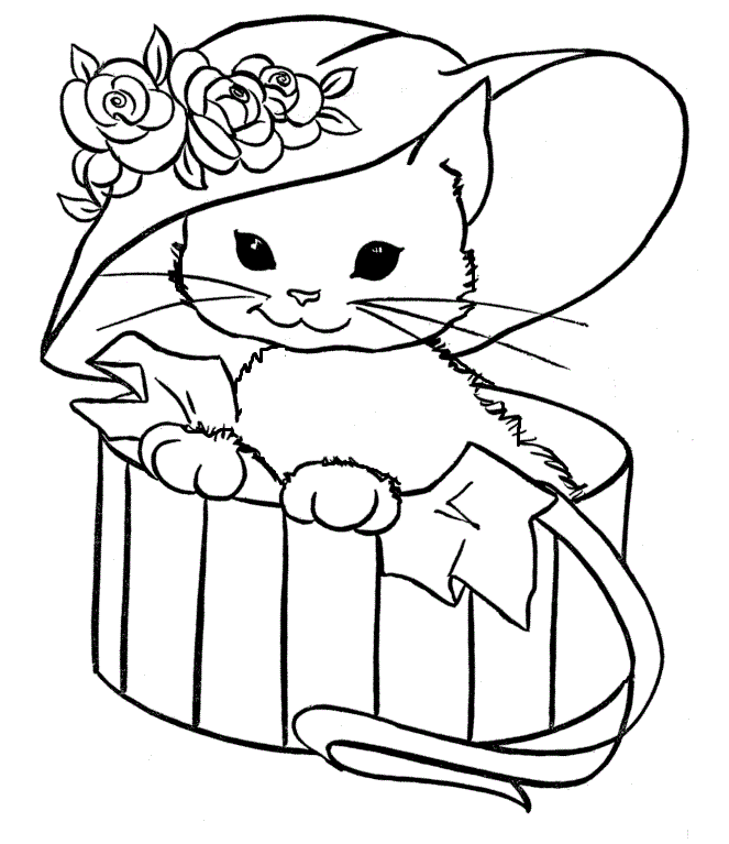 663x767 Cat Wear Hats Cats Kids Net