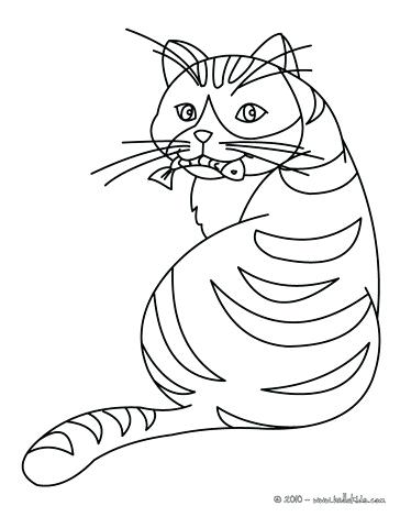 364x470 Coloring Page Cat Cortefocal.site