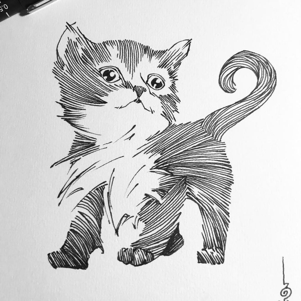 1024x1024 Ben Basso On Twitter Kitten Commission