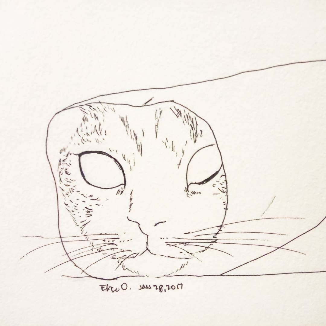 1080x1080 Burrito Cat. Doodling Cats Day 28.