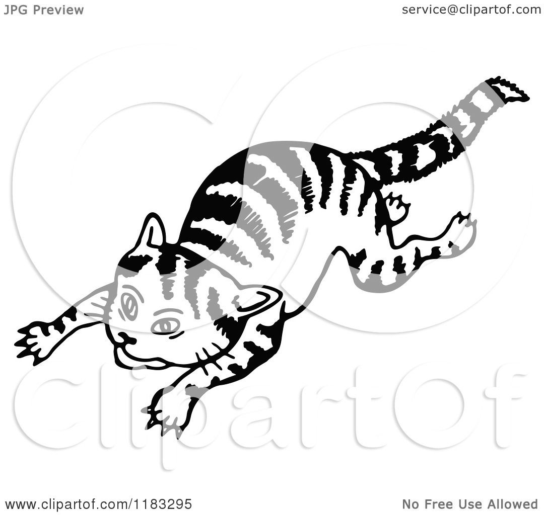1080x1024 Clipart Of A Black And White Cat Jumping