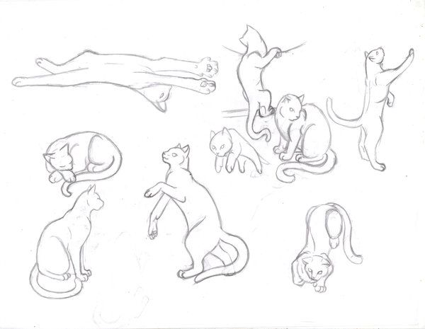 Cat Jumping Drawing at GetDrawings | Free download