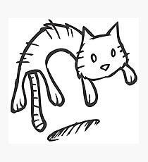 210x230 Jumping Cat Drawing Photographic Prints Redbubble
