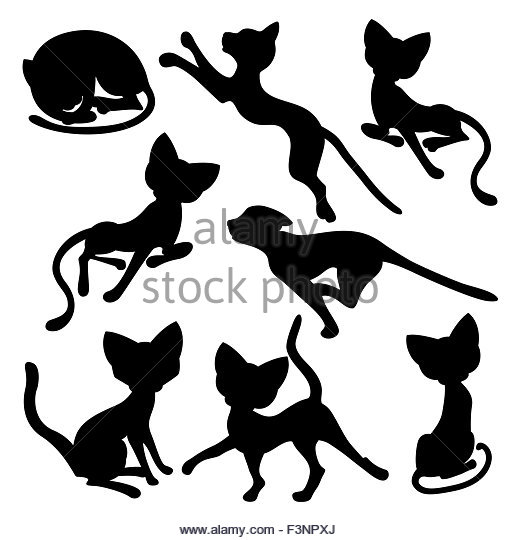 520x540 Cat Jumping Black And White Stock Photos Amp Images