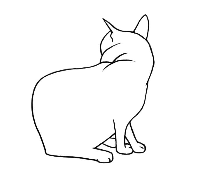 677x624 Daily Drawing Day 84 Cat Line Drawing