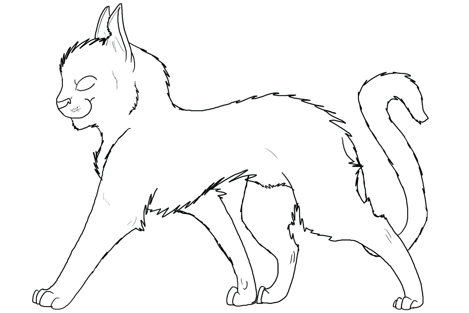 Cat Outline Drawing