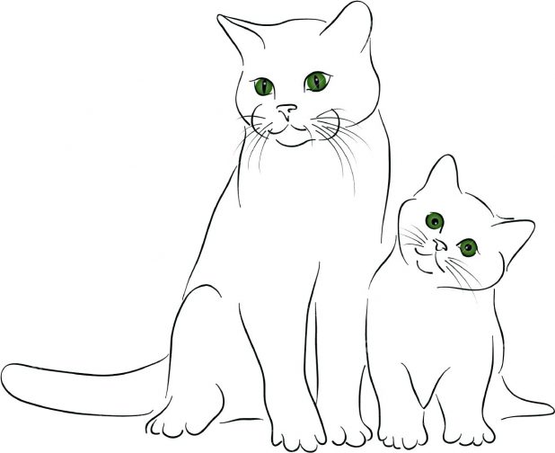 Cat Outline Drawing at GetDrawings | Free download