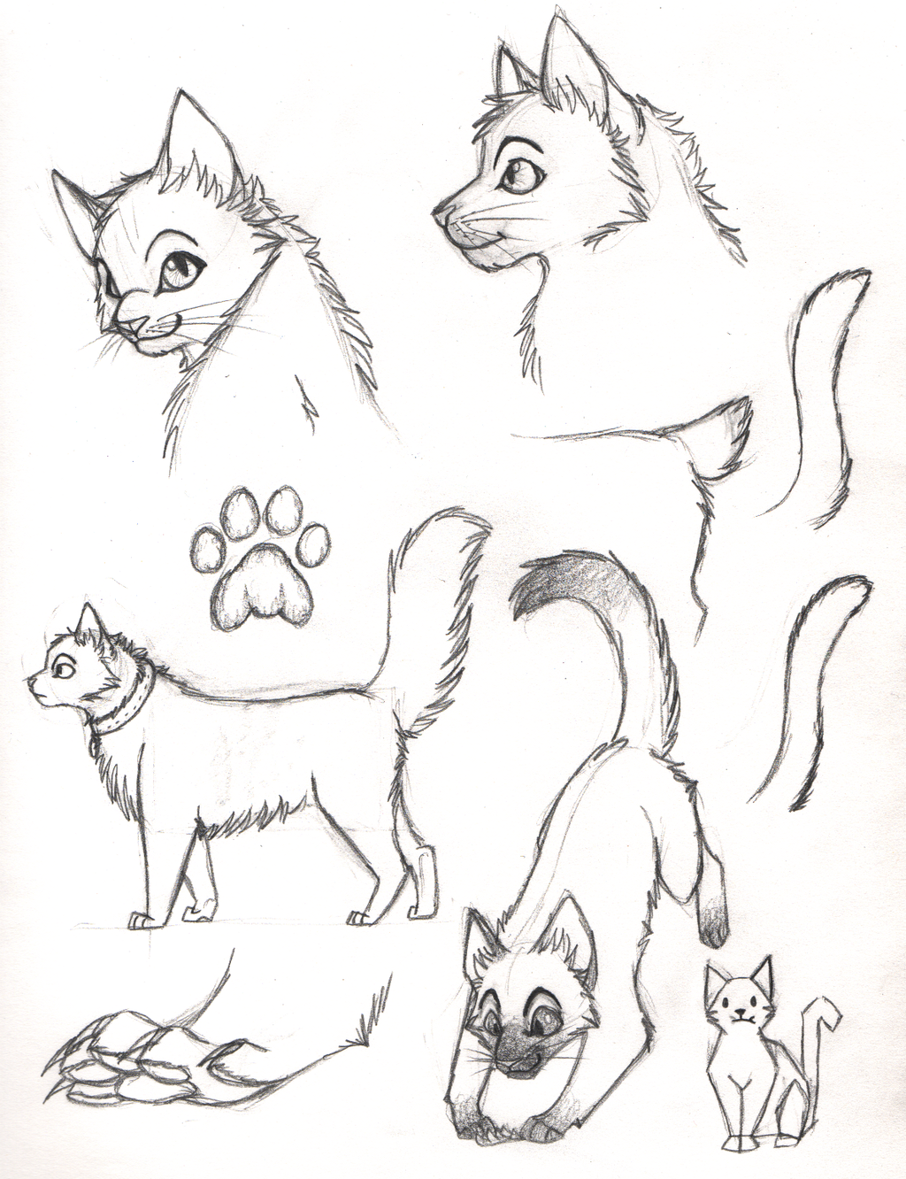 1024x1332 Cat Sketches By Ripple09