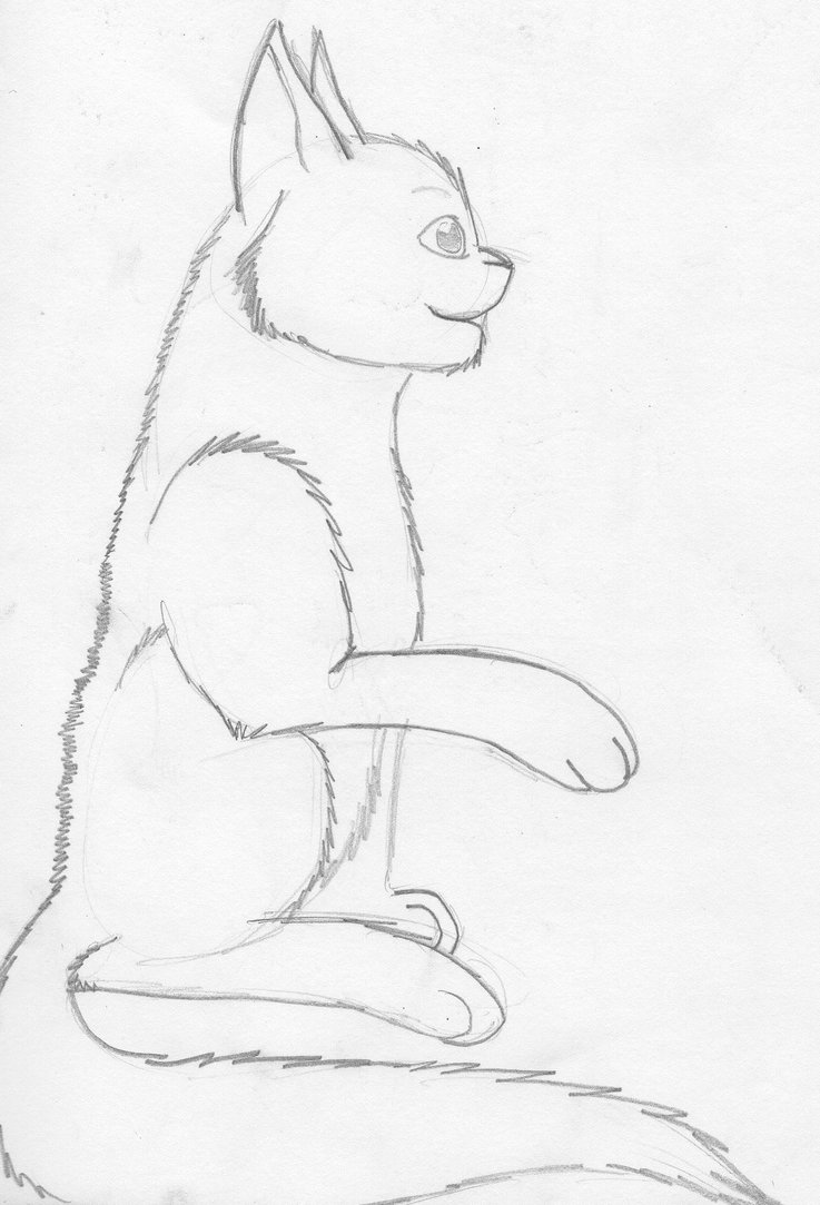 737x1083 Cat Paw Lift Pose By C1d1cy