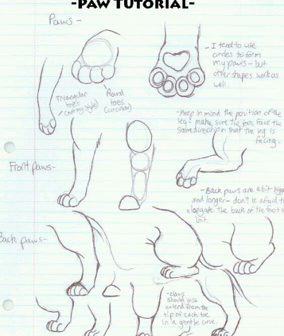 565x668 Cat Paw Tutorial Drawing, Painting Cat Paws