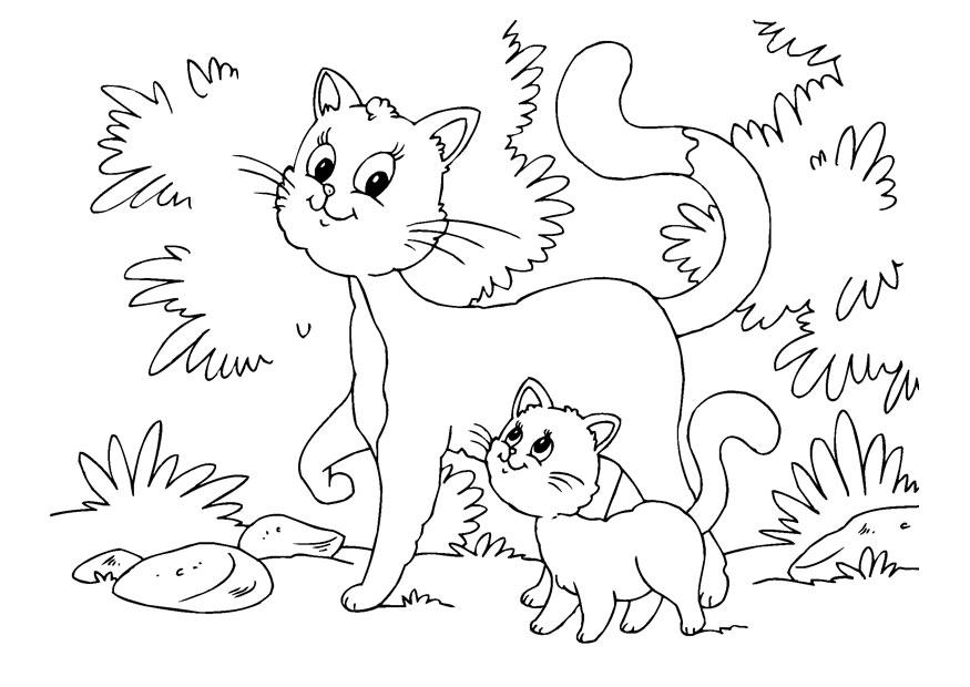 875x620 Coloring Page Cat And Kitten