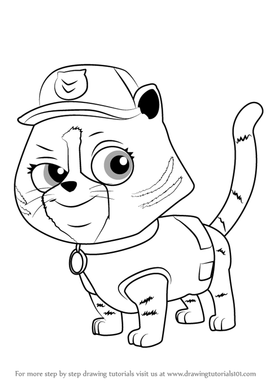 566x800 Learn How To Draw Cat Rocky From Paw Patrol (Paw Patrol) Step By