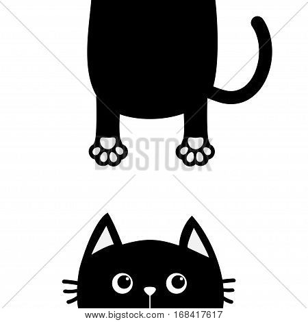 450x470 Black Cat Funny Face Head Vector Amp Photo Bigstock