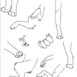 250x250 Paws Drawing, Pencil, Sketch, Colorful, Realistic Art Images