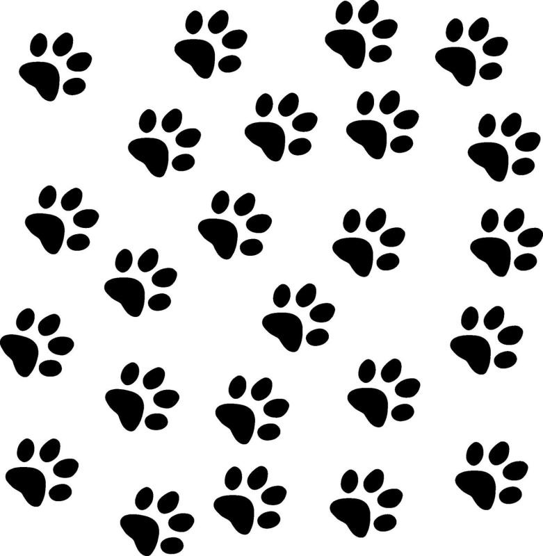 781x800 Dog And Cat Paw Prints Clip Art