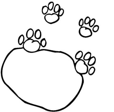480x472 Best Photos Of Cat Paws Coloring Pages