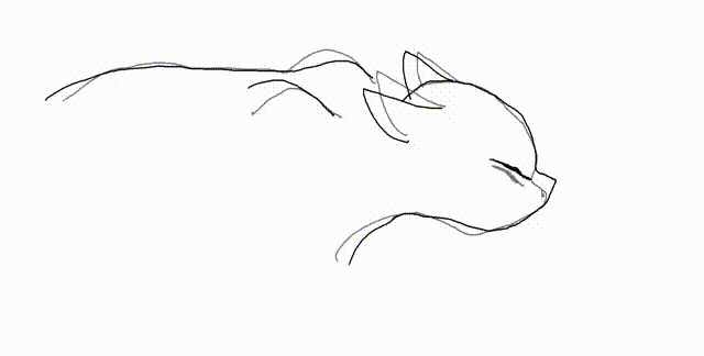 640x324 Cat Animation. By Catsperri
