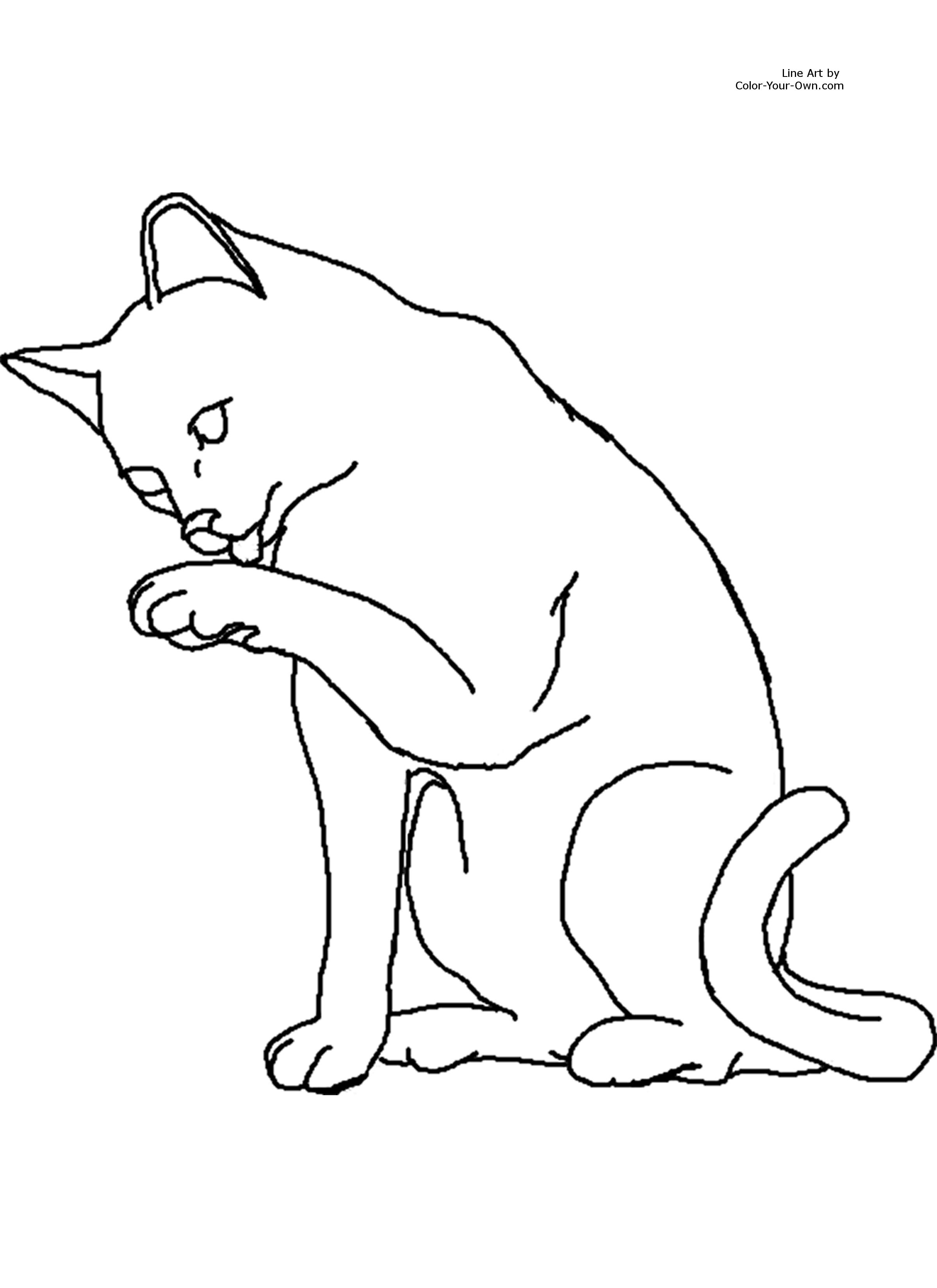 2400x3300 Cat Coloring Page