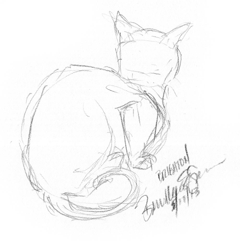 1000x1007 Daily Sketches At Blogpaws ~ The Creative Cat