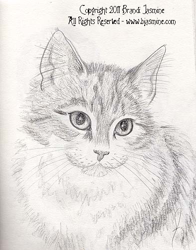 393x500 Pencil Sketches