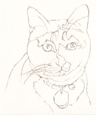 334x400 Cat Artful Passages