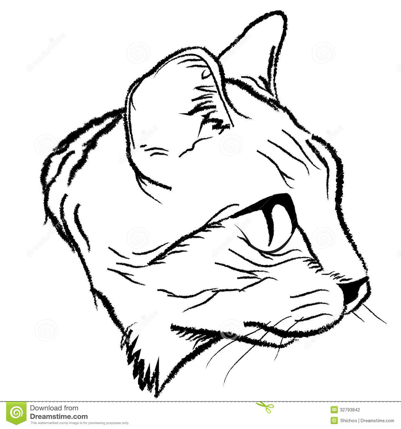 1300x1390 Simple Cat Face Drawing How To Draw A Kitty Cat Solution For How