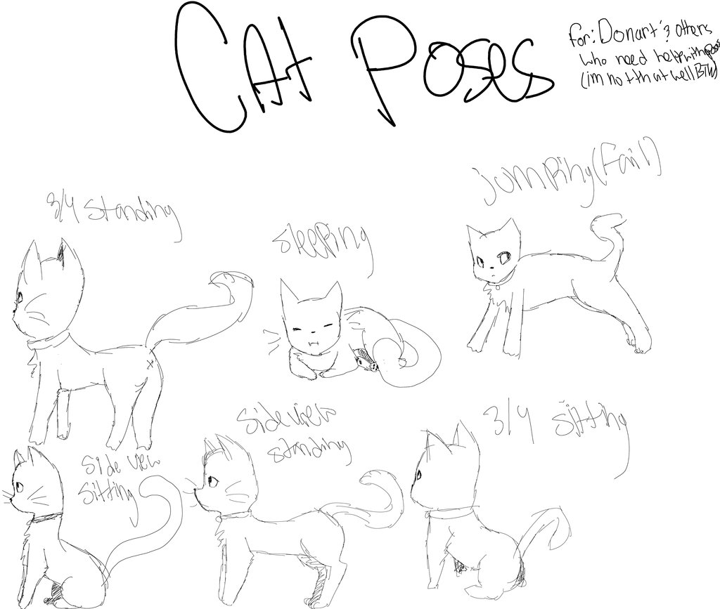 1024x867 Cat Poses By Drawingeternal