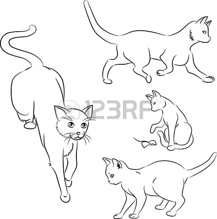 446x450 Cute Cats Sketch Illustration. Pet Animal Kitten, Sketch Cartoon