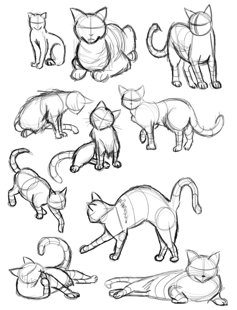 Cat Poses Drawing at GetDrawings | Free download