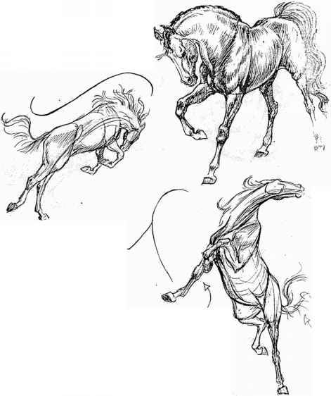 471x562 The Use Of Line