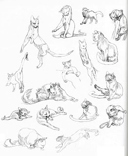 263x320 Cat Poses Drawing, Character Design, Photoshop Tutorials,