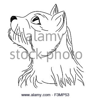 300x320 Hand Draw Animal Head Style Doodles Stock Vector Art