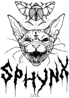 236x333 Lykoi Cats The Werewolf Cat Everything You Need To Know Lykoi